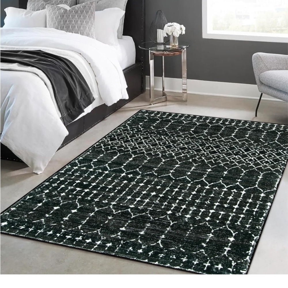 Brand NEW Amazon Washable 4x6 Rug